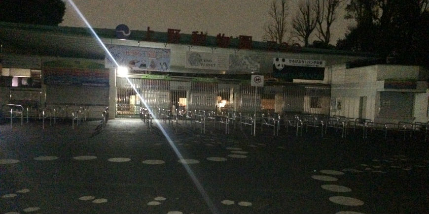 夜　上野動物園　ゲート